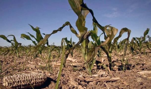 La provincia amplió la emergencia agropecuaria a otras producciones agrícolas perjudicadas por la sequía