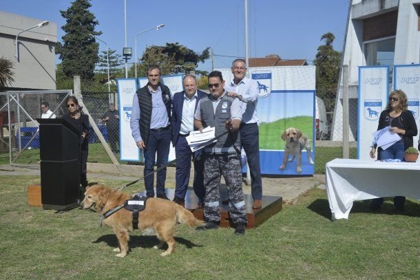 Día del Animal: 14 perros detectores de Aduana fueron jubilados y homenajeados