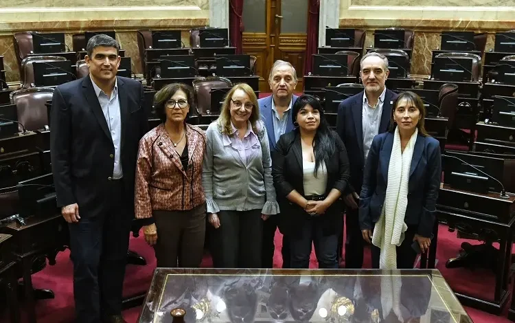 Senadores patagónicos de UP piden a sus pares de la región que se opongan a la ley Bases y al paquete fiscal