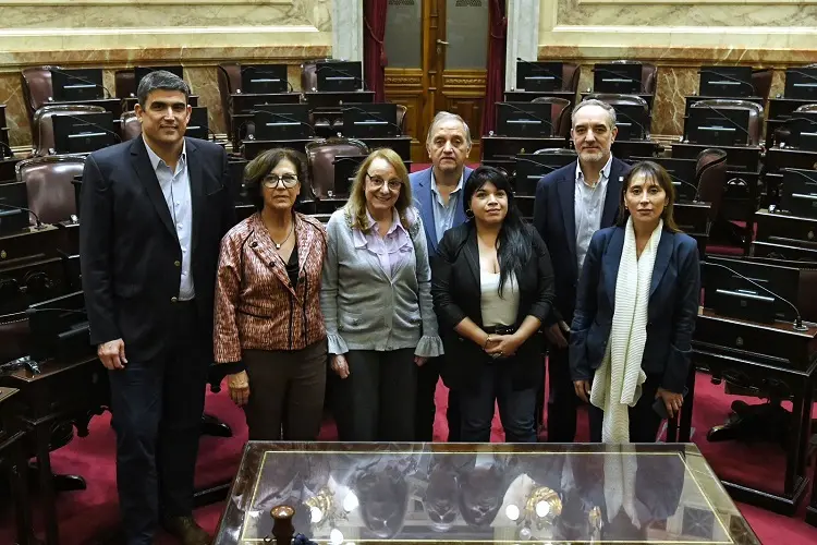 Senadores patagónicos de UP piden a sus pares de la región que se opongan a la ley Bases y al paquete fiscal