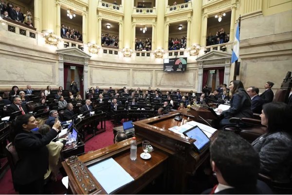 La oposición en el Senado impuso su mayoría para tratar en la próxima sesión el aumento del presupuesto universitario