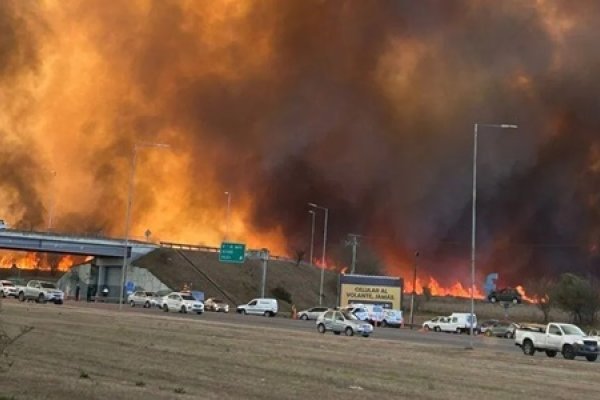 Arde el Senado: Aprobaron la emergencia ambiental por 180 días en Córdoba