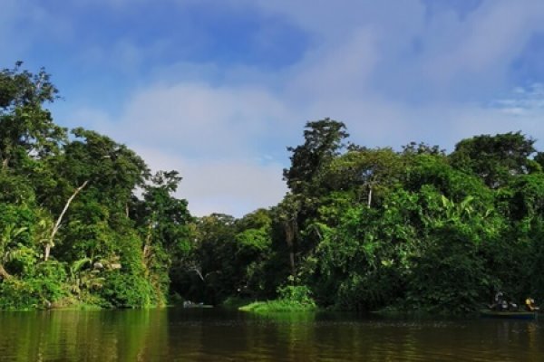 El desafío de financiamiento para la biodiversidad