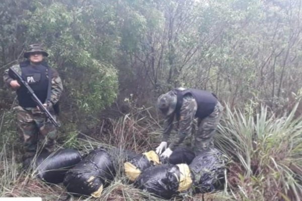 Prefectura secuestró más de 80 kilos de marihuana en misiones