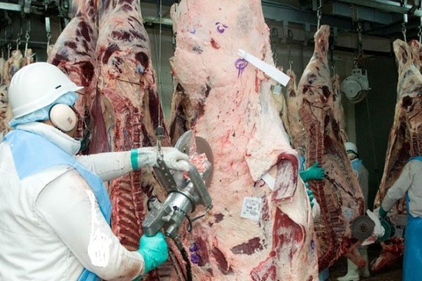 Destacan que las exportaciones de carne alcanzaron un récord en 57 años