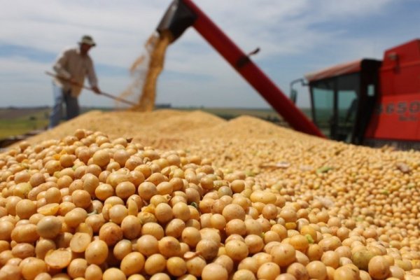 Tensión entre el campo y el Gobierno por las retenciones