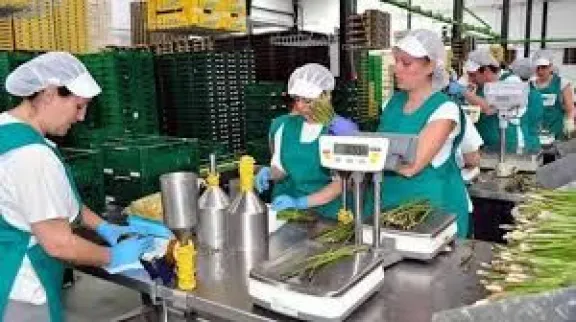 Desde el Inaes suspendieron 26 cooperativas en Gualeguaychú por irregularidades