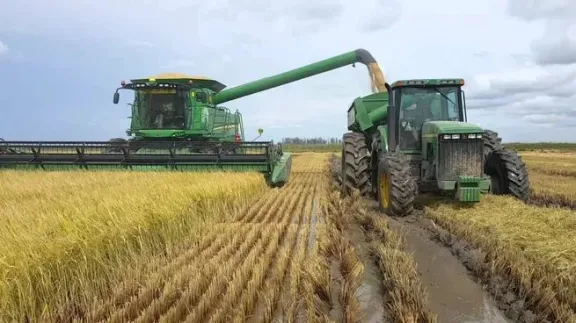 Avanza la cosecha de arroz, sorgo y soja en Entre Ríos con resultados dispares