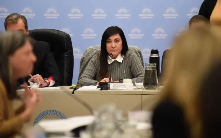 Vuelve a postergarse el plenario para dictaminar sobre régimen penal juvenil