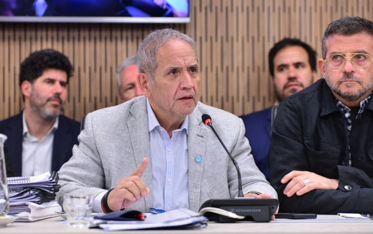 Para Palazzo, Milei “no tiene programa económico”, sino que “quiere manejar las finanzas por decreto”