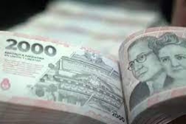 Presentaron un proyecto para cambiar el peso por otra moneda nacional